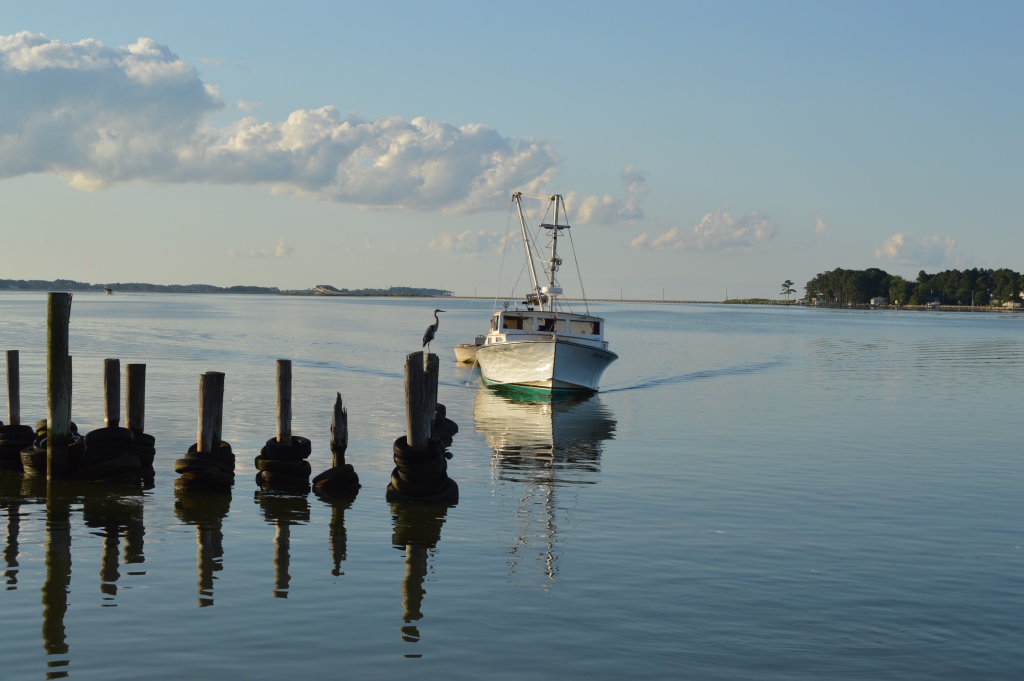 Fishing Creek, MD, at dawn. Photo by Tom Pelton