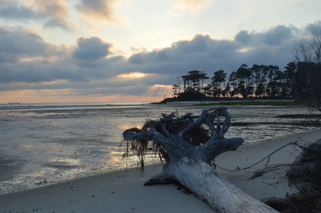 Plantation Creek. Photo by Tom Pelton