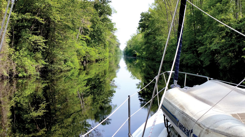 The Great Dismal Swamp, just south of the ICW's start in Norfolk, VA
