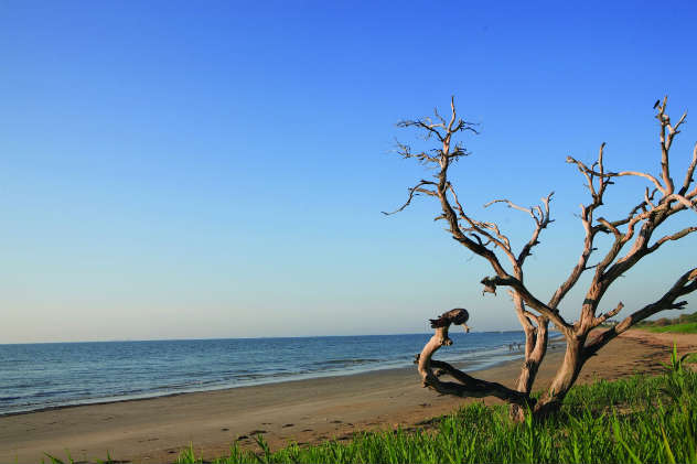 Grandview Nature Preserve. Photo courtesy of Hampton CVM