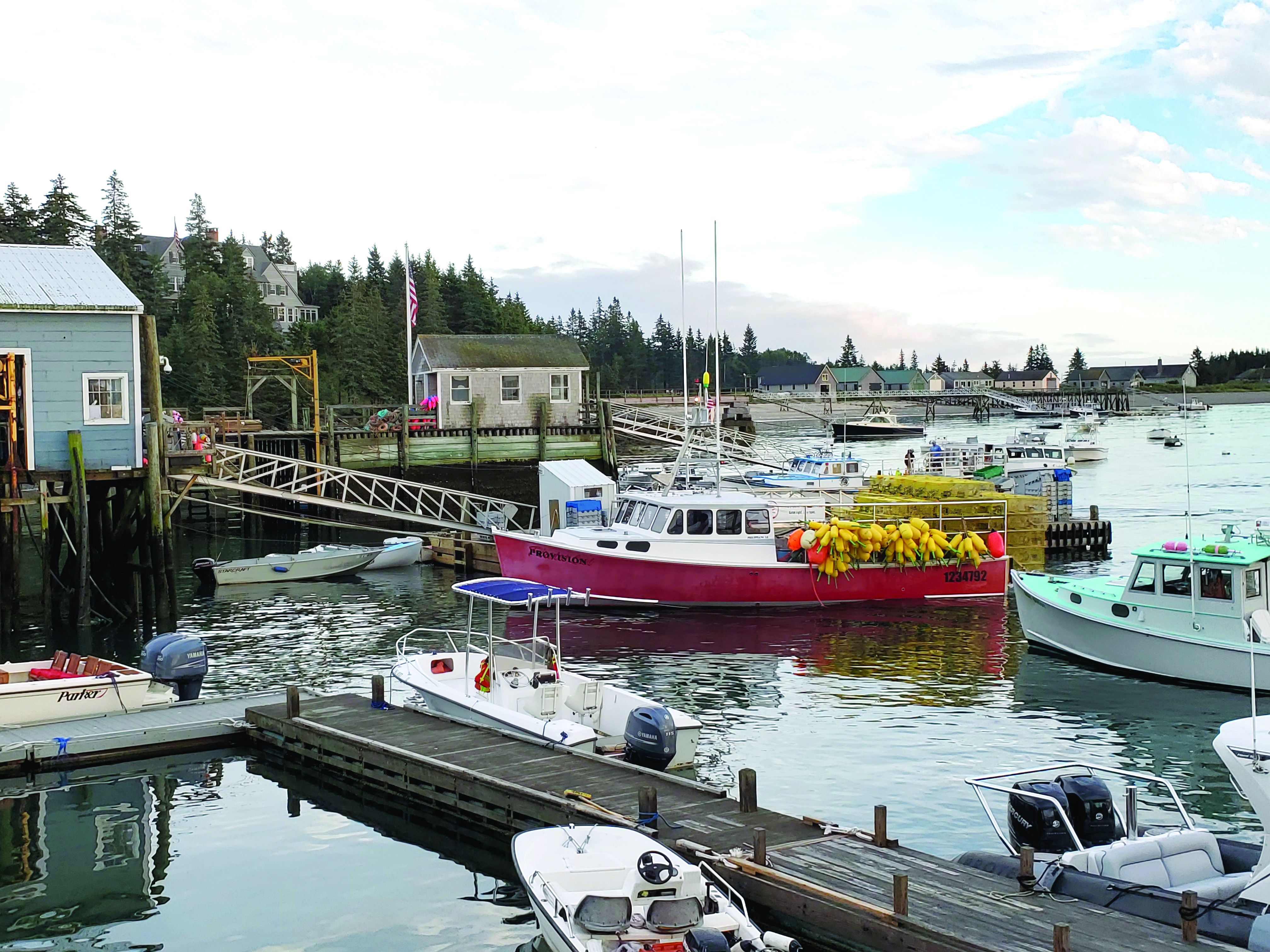 Sailing in Maine A Cruiser’s Paradise