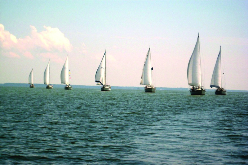 A parade of Dickersons on the Choptank, a mid-summer tradition.