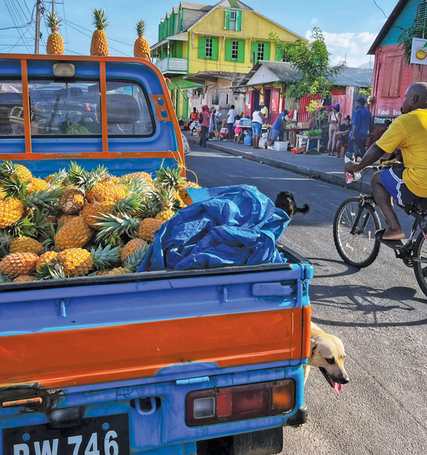 Pineapple truck in Domenica