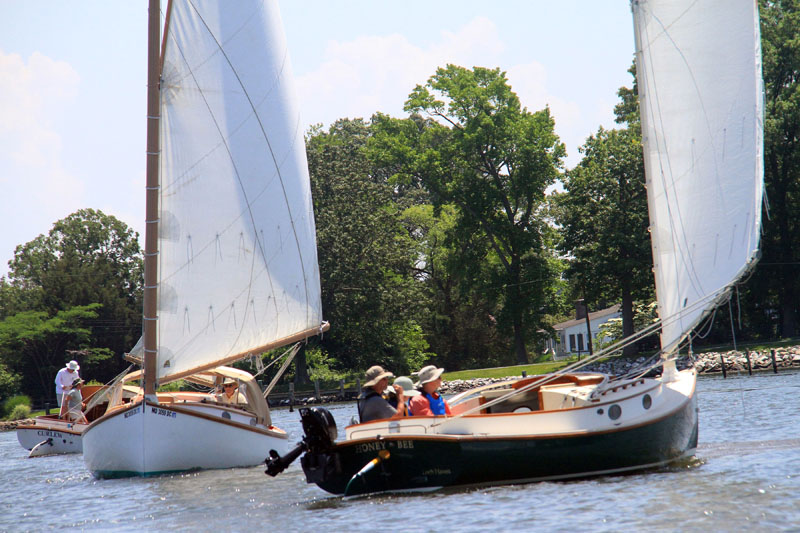 Catboat sailing