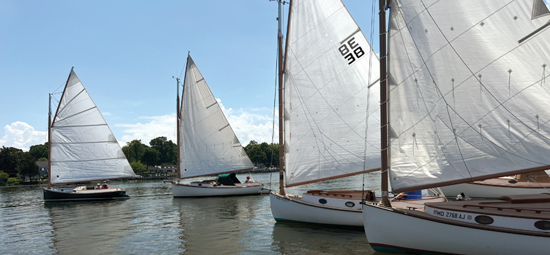 Catboat sailing