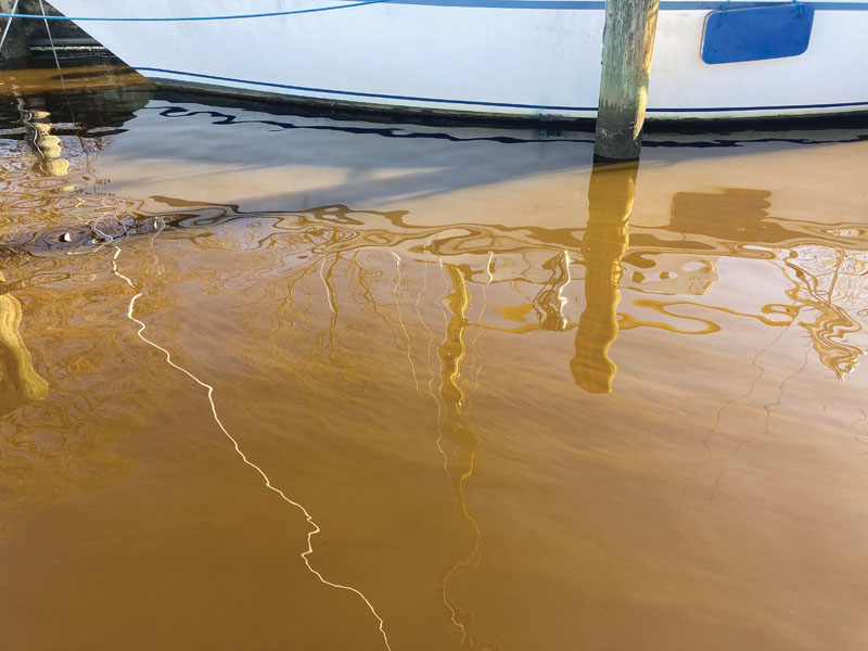 river water with algae blooms