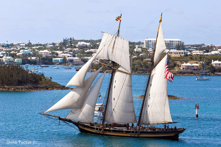 Pride of Baltimore II. Photo by Glenn Tucker