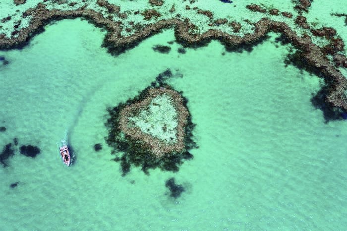 charter sailing whitsundays