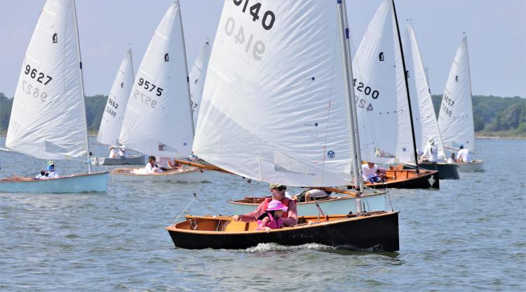 penguin dinghy racing