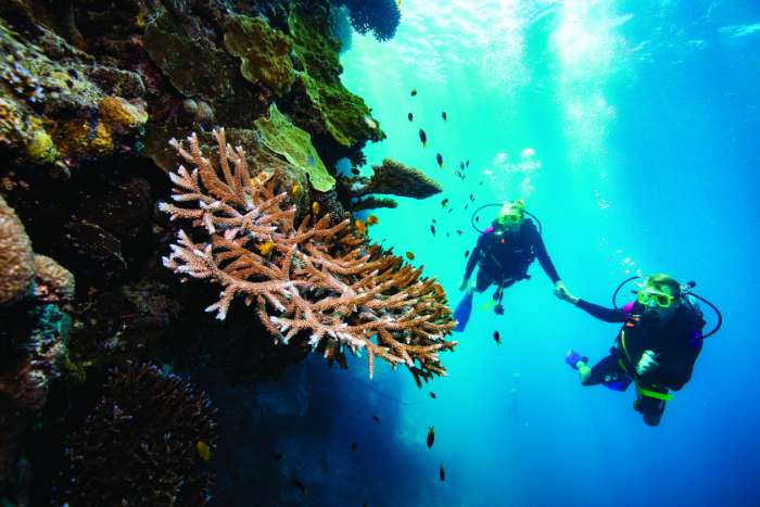 great barrier reef diving