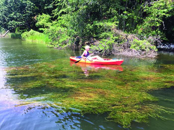 volunteer on kayak