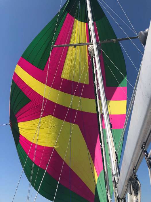 spinnaker sail full