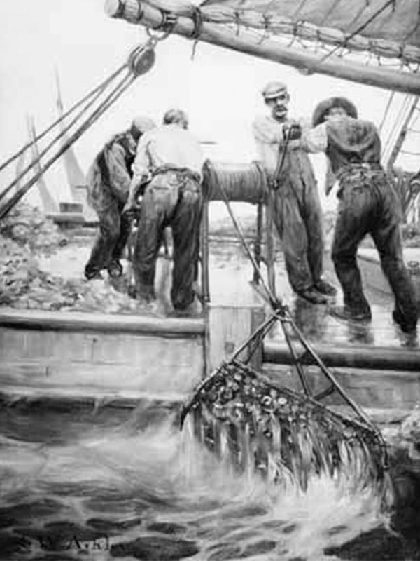 oystering, hauling dredge