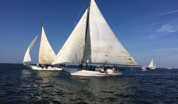 SpinSheet | Chesapeake Bay Sailing Magazine